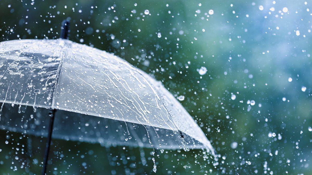 Rain falling on an umbrella.